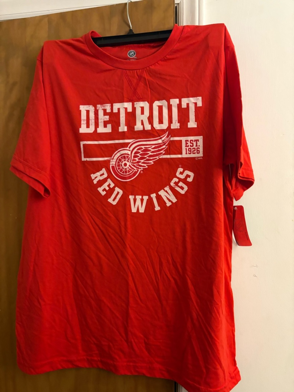 NHL Detroit Red Wings Red Graphic Tee